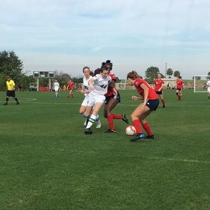 Meet your Posher, Kaye